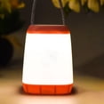 thumbnail image 2 of LED Night Light Lamp for Kids with Flexible Gooseneck, Warm Yellow Soft Light, Battery Powered (3 AAA Batteries Not Included), Portable Table or Hanging Use, 2 of 9