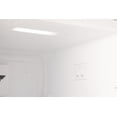 thumbnail image 4 of Unique 310L Marshmallow White Top Mount Refrigerator, 4 of 19