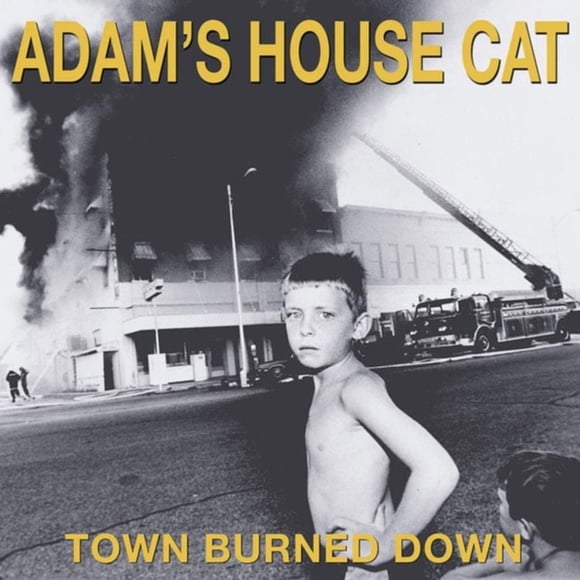 Adam's House Cat - Town Burned Down (vinyl)