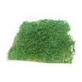 thumbnail image 1 of TISHITA Modèle Miniature d'Herbe en Tufting pour Paysage de Train Ferroviaire, 1 of 6