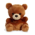 thumbnail image 1 of Aurora - Palm Pals - 5" Artie Bear, 1 of 3