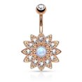 thumbnail image 1 of Summer Savings Xihbxyly Belly Button Updated S Urgical Steel Belly Button Rings With Properly On-Trend Low Spend, 1 of 2