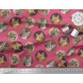 thumbnail image 2 of Soimoi Silk Fabric Cat Face Animal Print Fabric by Yard 42 Inch Wide, 2 of 3
