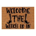 thumbnail image 1 of Summer Doormats Outdoor Entrance Funny Door Mats Welcome Mat Outdoor Spring Front Door Rug Outdoor Home Decor Patio Stuff for Outside Sturdy Door Mats for Home Entrance Outdoor Indoor, 16x24 Inch, 1 of 7