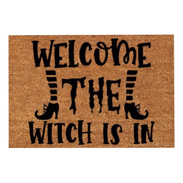 Summer Doormats Outdoor Entrance Funny Door Mats Welcome Mat Outdoor Spring Front Door Rug Outdoor Home Decor Patio Stuff for Outside Sturdy Door Mats for Home Entrance Outdoor Indoor, 16x24 Inch