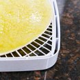 thumbnail image 4 of Nesco Large Food Dehydrator Fruit Roll Sheets, 80 & 1000 Series, Set of 2, 4 of 5