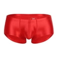 thumbnail image 3 of Men's Underwear Breathable Sheer Shiny Low Rise Briefs for Daily Comfort and All-Season Wear, 3 of 3