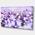 thumbnail image 2 of Daisy Field Photography Panorama - Floral Canvas Art Print, 2 of 4