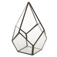 thumbnail image 1 of Jardinière de Terrarium Géométrique en Verre Fougère, 1 of 8