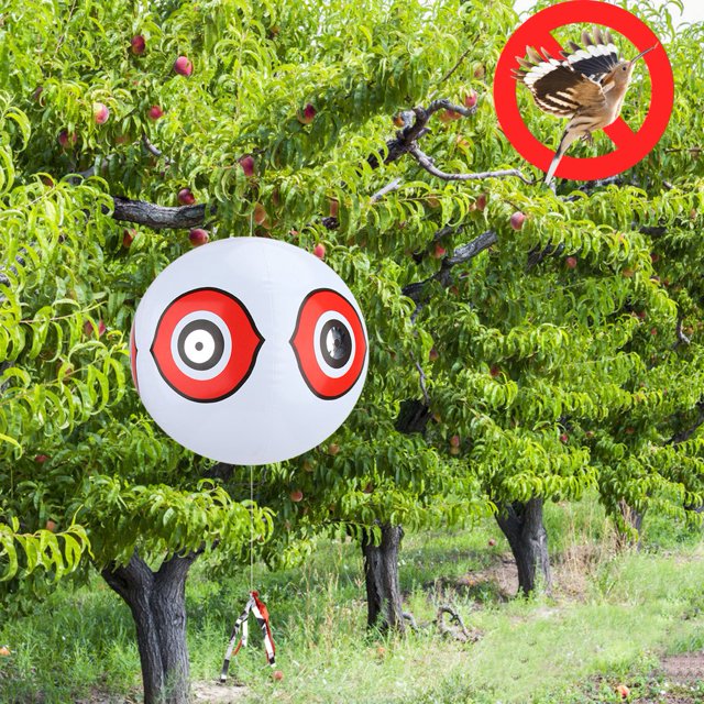 Terror Inflatable Bird Scare Balloon Bird Repellent Balloon, 3D Eyes, Features, Mimic , Orchard, Farmland Repellent