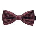 thumbnail image 1 of Cravate Formelle à Motif Coloré pour Homme Adulte Homme Affaires Réunion Nœud Papillon Formel Coloré Mariage Nœud Papillon en Fil de Polyester, 1 of 7