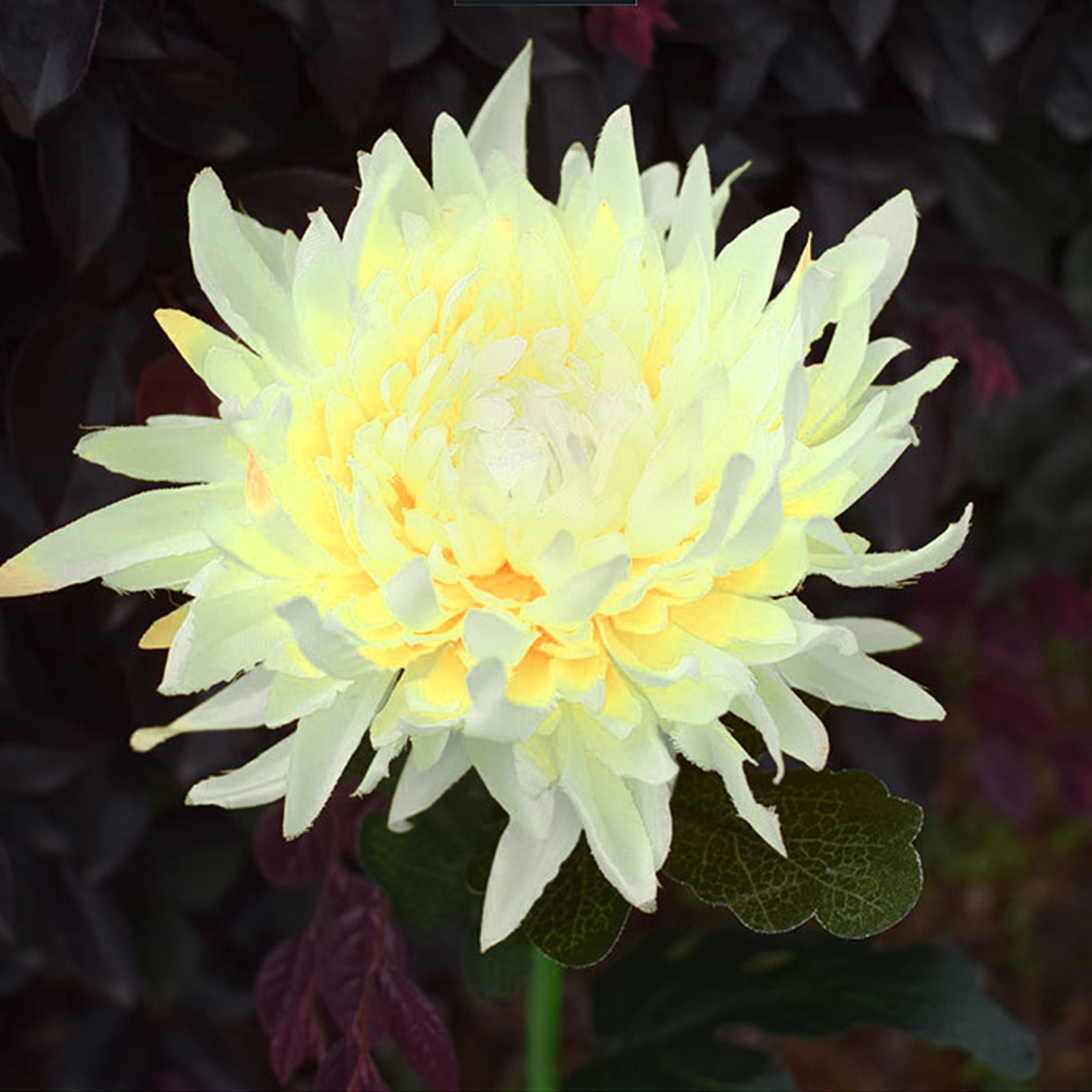 Chmadoxn Solar Lights Outdoor Solar Chrysanthemum Lights Outdoor LED Garden Lights Simulation Flower Lights Plug Ground Decorative Lights solar light