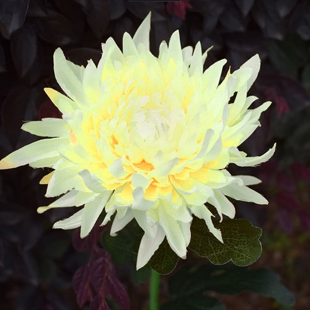 WSBDENLK Solar Chrysanthemum Lights Outdoor Led Garden Lights Simulation Flower Lights Plug Ground Decorative Lights,Solar Led Simulation Flower Decoration Light