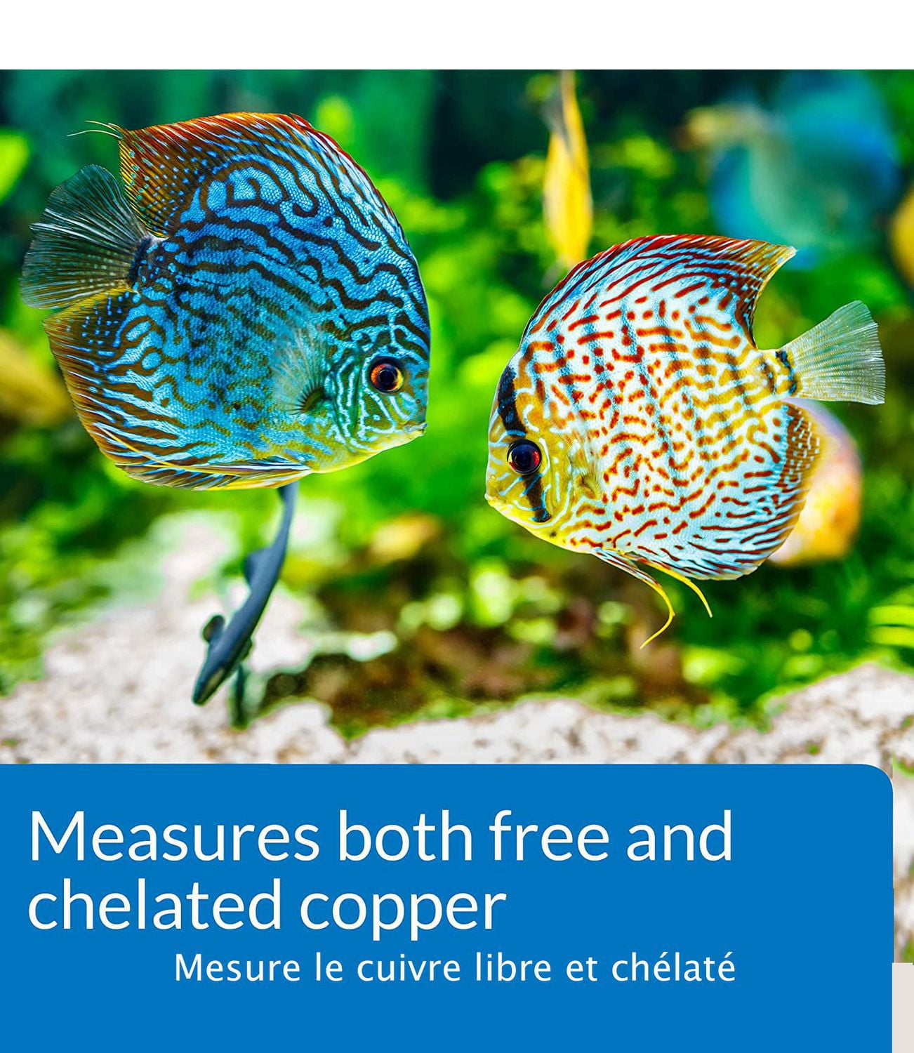 API Copper Test Kit for Freshwater & Saltwater Aquariums, 90 Tests