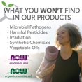 thumbnail image 5 of NOW Foods - 100% Pure Essential Oil Nutmeg - 1 fl. oz., 5 of 5