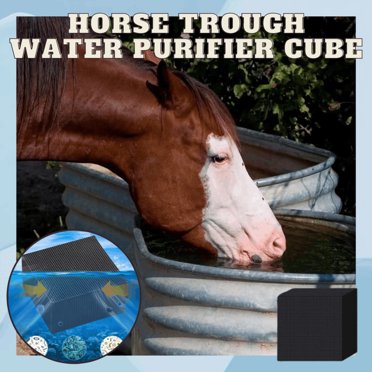 Chmadoxn Gadgets de Cuisine, Accessoires de Cuisine, Ustensiles de Cuisine, Outil de Cuisine - Cubes Purificateur d'Eau d'Aquarium Forte Filtration Absorption Charbon Activé
