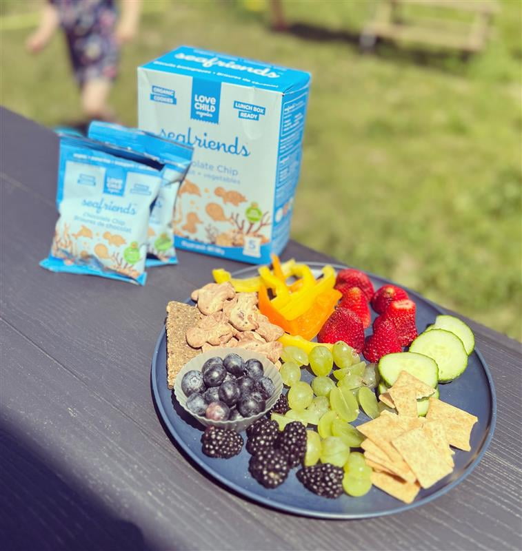 Love Child Organics Sea Friends Chocolate Chip Cookies 140g Pouch