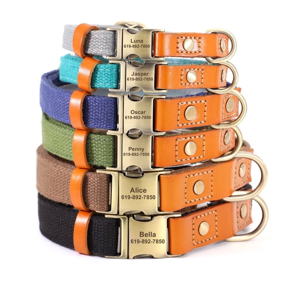 Ensemble Personnalisé de Collier et Laisse pour Chien
