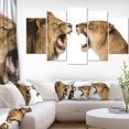 thumbnail image 3 of Design Art Lion And Lioness Roaring Canvas Print, 3 of 3