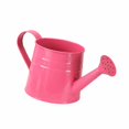thumbnail image 2 of koolsoo Metal Mini Watering Can Planter Garden Bucket for Patio Decor Smooth Surface Rose Red, 2 of 9