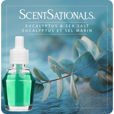 Scentsationals Fragrance Oil - Eucalyptus Sea Salt