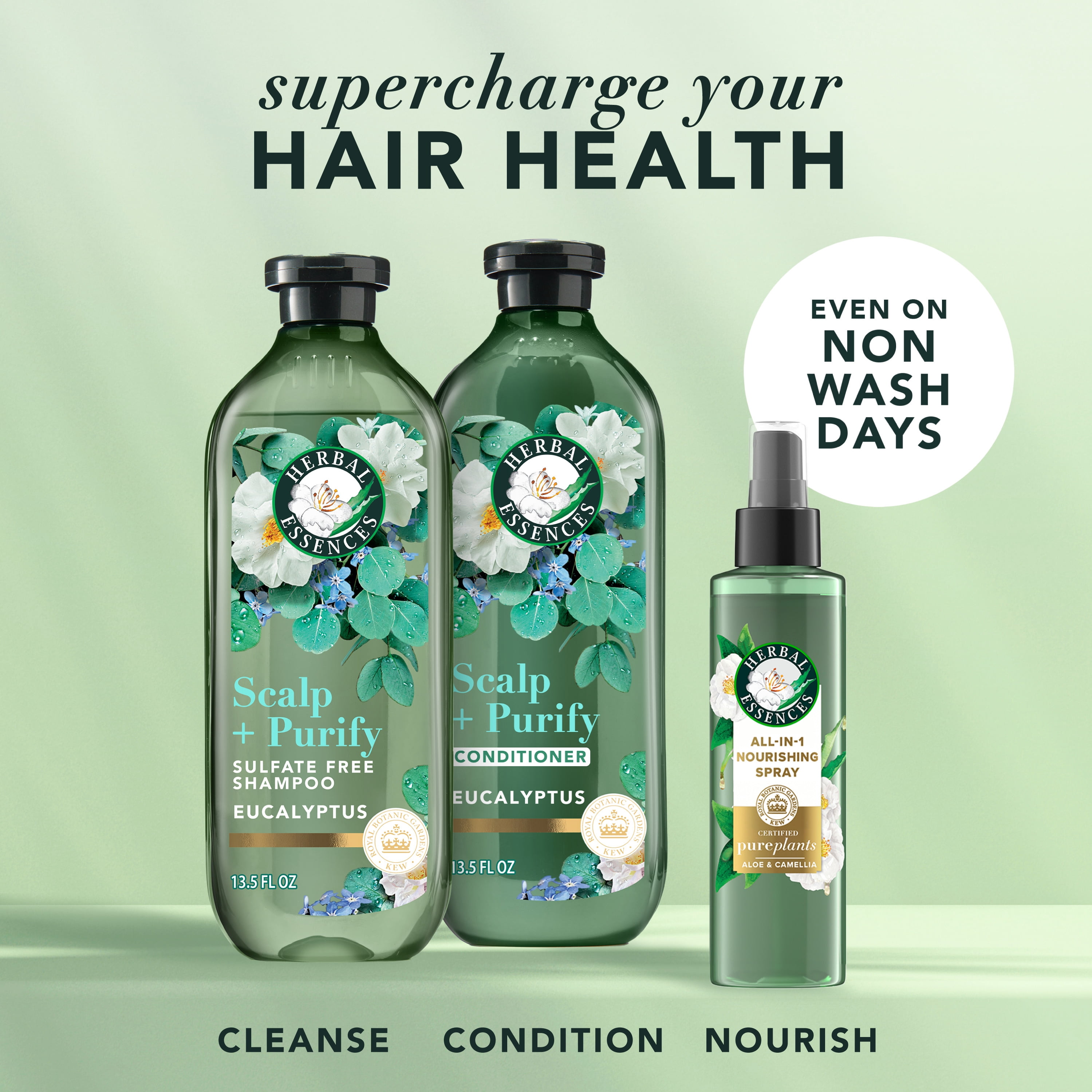 Shampooing Herbal Essences Cuir Chevelu et Purification, Nettoie Le Cuir Chevelu Pour Des Cheveux Doux, Eucalyptus, Sans Sulfate, 400 mL
