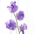 thumbnail image 3 of Simulation Pea Blossom Decorative Flower Fake Flower Ornament Home Adornment Purple, 3 of 8