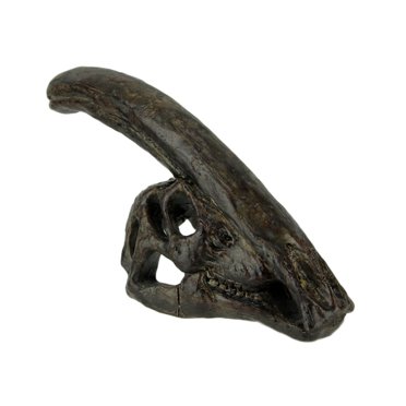 Dinosaur Skull Statue, 8 Inch Parasaurolophus Brown Resin Fossil Finish