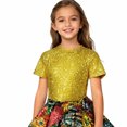 thumbnail image 3 of Haut de Performance à Paillettes pour Filles, T-Shirt de Danse à Manches Courtes, Tee Scintillant à Paillettes pour Scène, Spectacle pour Enfants et Récital, 3 of 3