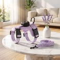 thumbnail image 4 of Escape Proof Reflective Cat Harness and Leash Set with GPS Tracker Pouch for Small Cats, 4 of 8