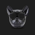 thumbnail image 3 of Haut-parleur pour Chien Portable Stéréo True Wireless Bluetooth Rechargeable : Noir, 3 of 7