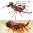 thumbnail image 3 of Homard Simulation, Jouet Homard, avec Artisanat Exquis Couleur et Texture Réalistes Non - et pour Enfants Jouet Maison, 3 of 8