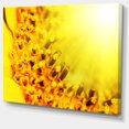thumbnail image 2 of Bright Yellow Sunflower Close Up - Floral Canvas Art Print, 2 of 3