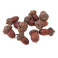 thumbnail image 3 of 20 Pièces Mini Glands pour l'Artisanat, DlY, Fournitures d'Artisanat, Chêne Rouge Réel, 3 of 8