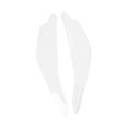 thumbnail image 3 of Xuanheng Motorcycle Front Headlight Cover DIY Modified for Motorbike Accessories Clear, 3 of 8