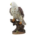 thumbnail image 4 of Ebros Faune Faucon à Queue Rouge sur Souche d'Arbre Statue Oiseaux de Proie Figurine 10"H, 4 of 5