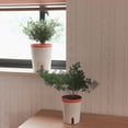 thumbnail image 4 of Flower Pot Planter Basket Automatic Water Absorption Bucket Pp Plastic Lazy Flowers Container Garden Tool Self Watering, 4 of 5