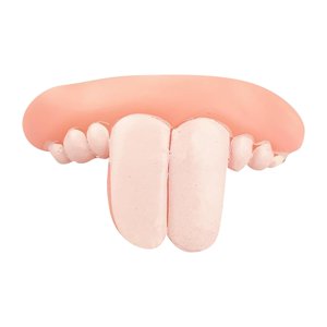 Product Classification Chew Toys Product Title Pet Dentures Toys Dog Dentures Dog Braces Dog Chew Toys Suitable For Halloween Dog Toys Pet Supplies