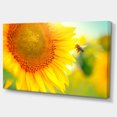 thumbnail image 2 of Beautiful Sunflowers Blooming - Large Animal Canvas Art Print, 2 of 4