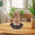 thumbnail image 1 of Bol Décoratif en Résine à Moins de 5 $! Yannianjz Bol Décoratif à Volants, Bol de Centre de Table en Résine, Déco de Table Basse, Bol de Décoration pour la Maison, Déco Maison Moderne, Bol de Rangement Décoratif, Pièce d'Accent pour le Salon, 1 of 3