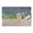 H, variant on Super Absorbent Diatomite Bathroom Floor Mat - Quick Drying Non Slip Soft Carpet for Kitchen Door