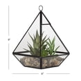 thumbnail image 3 of DesignOvation 9"H Tabletop Glass Terrarium with Artificial Succulent Trio, 3 of 8