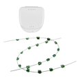 thumbnail image 1 of Rongfmy 2 Pieces Temporary Tooth Decoration Fashion Brace for Demonstration Teaching Green, 1 of 9