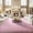 Pink, variant on Pink Area Rugs for Bedroom, 3x5 Fluffy Nursery Rug Soft Shag Rugs for Living Room, Small Fuzzy Plush Shaggy Carpets for Girls Teen Dorm Room Kid Room Home Decor (3ft x 5ft, Pink)