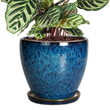 EPFamily 6 inch Ceramic Planter with Saucer & Drainage Hole, Small Plant Pot for Indoor Succuulents,Desk & Home Decor,Blue
