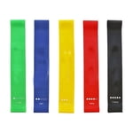 Resistance Bands Exercise Loops - Set of 5, Workout Bands