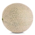 thumbnail image 1 of Cantaloupe, 1 of 4