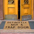 thumbnail image 3 of Giyblacko Carpet Door Mats Fun Theme Carpet Non Slip Entry Door Entry Mat Absorbent Bathroom Kitchen Porch Floor Mat, 3 of 6