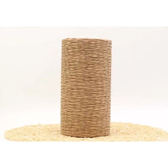 460g/lot Raffia Straw Yarn Handmade Knitting Summer Hat Bags Crocheting Yarn For Handcrafts Material