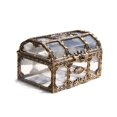 thumbnail image 2 of WHEANG Plastic Transparent Storage Box Chest Keepsake Case Jewelry Organizer For Kids And Adults Halloween, 2 of 5